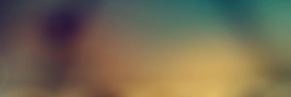 stitevs Profile Banner