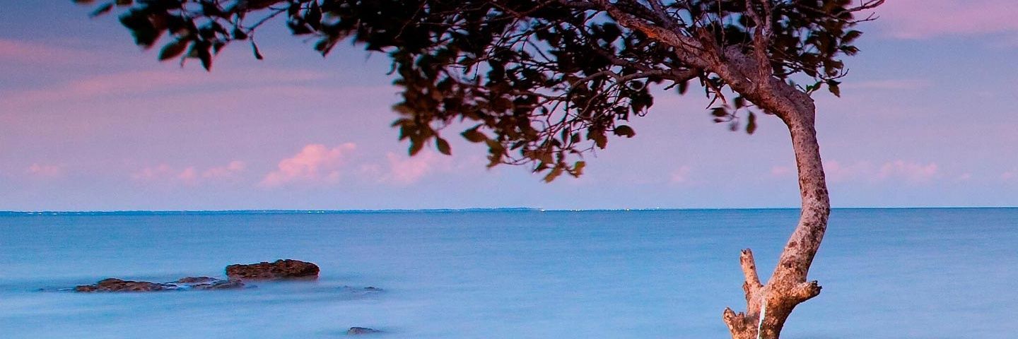 pr111q's profile banner image