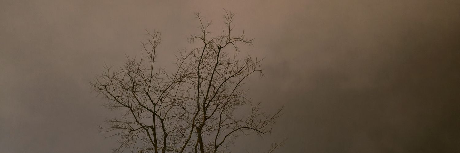 Autumn2_2_6's profile banner image