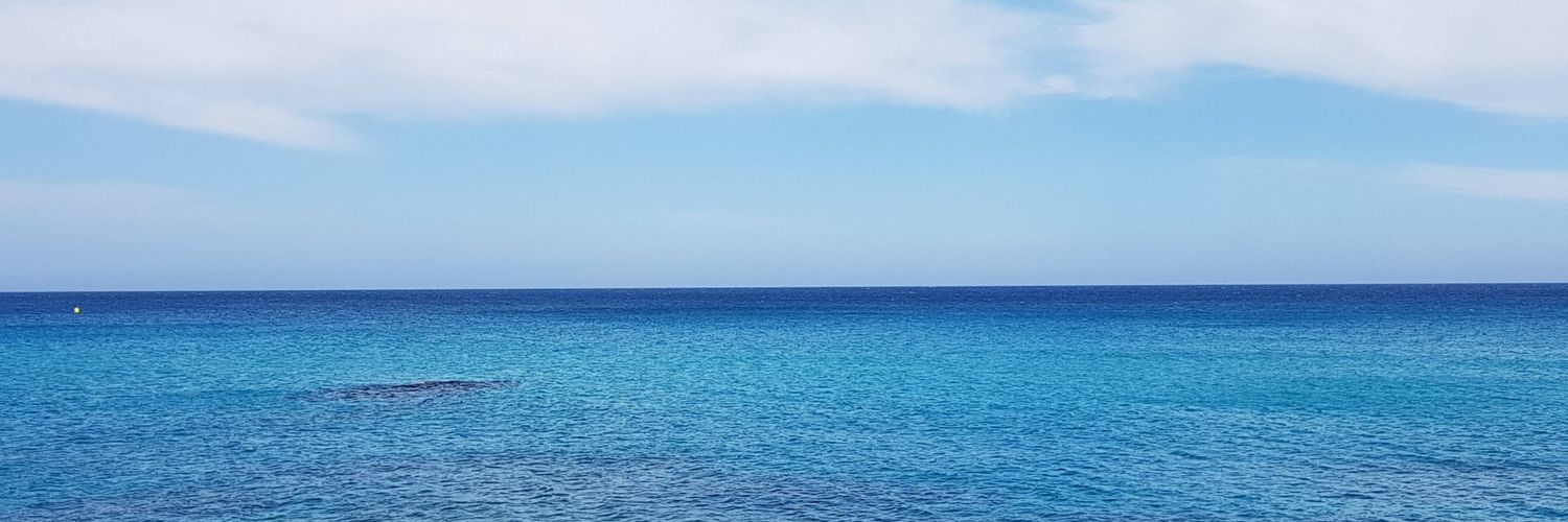 Scaldafferrotom's profile banner image