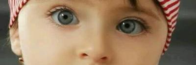 WORLD AT PEACE Inc. banner