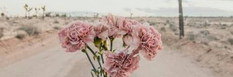 csyifa12's profile banner image