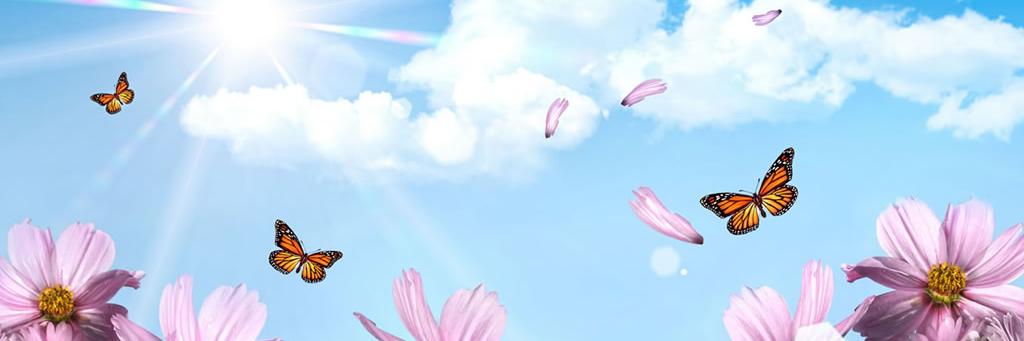 vibing_v's profile banner image