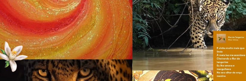 melrmoraes's profile banner image