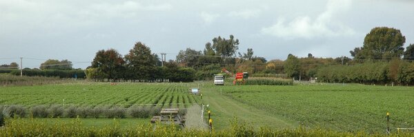 danbloomer1 Profile Banner