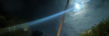 r0tkiv's profile banner image