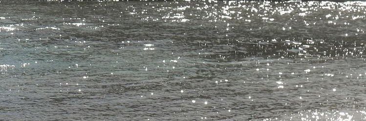foronws's profile banner image