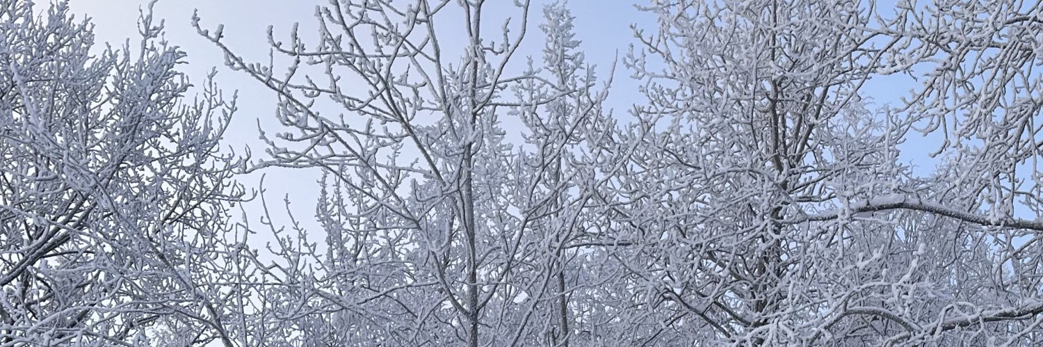 _cheyene__'s profile banner image