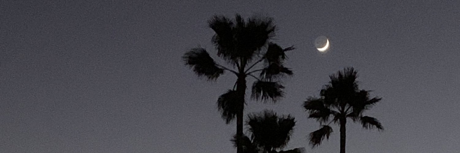RZShedlock's profile banner image