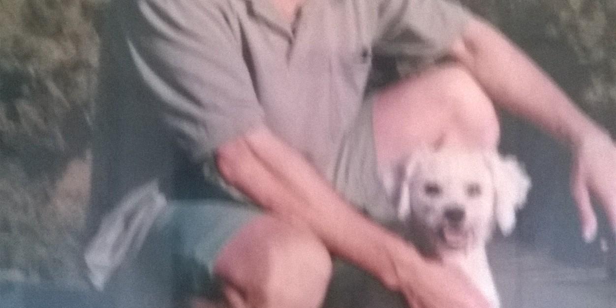 japy64's profile banner image
