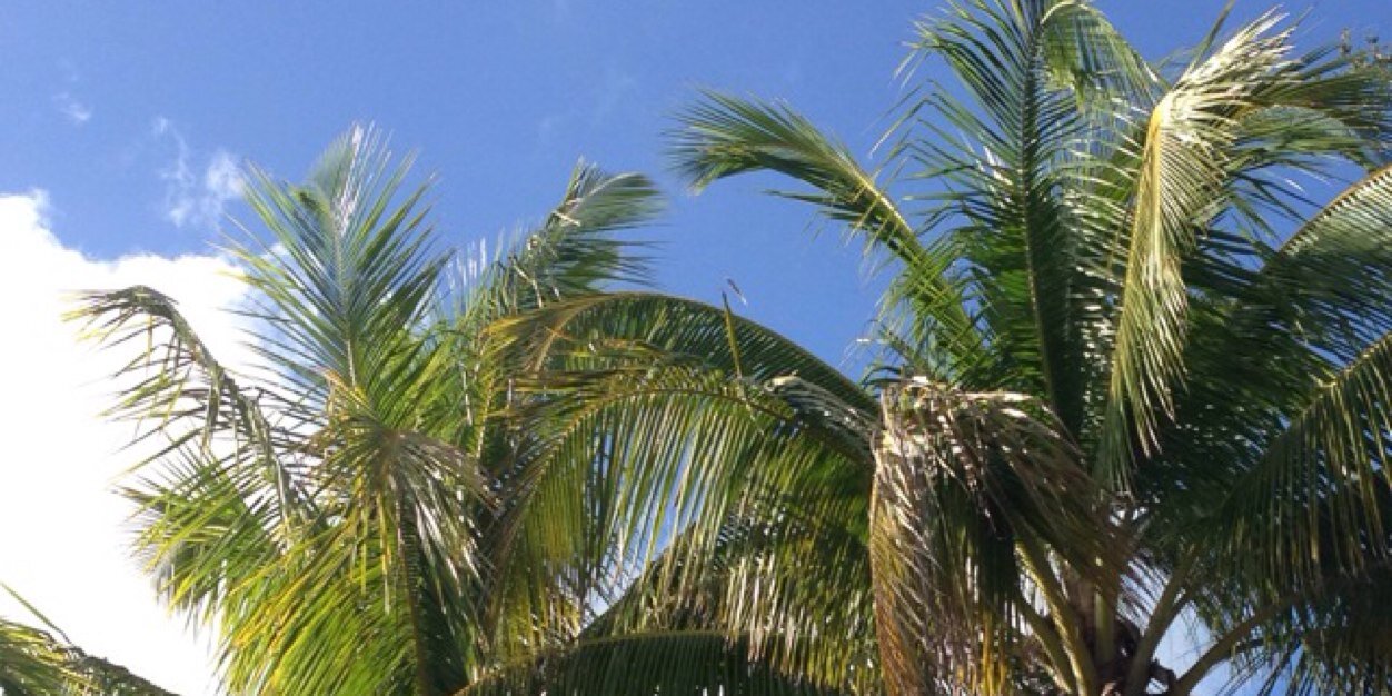 Kstroknockers's profile banner image
