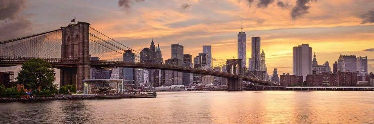 Adam Stevison banner