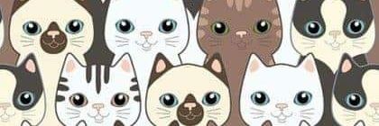 Mulherão da porra banner