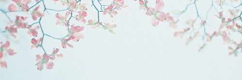 ruddnjs8740's profile banner image