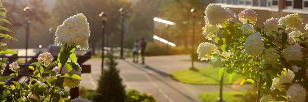 SUNYDelhi Profile Banner