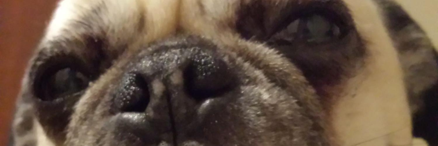 Nate Sinclair banner