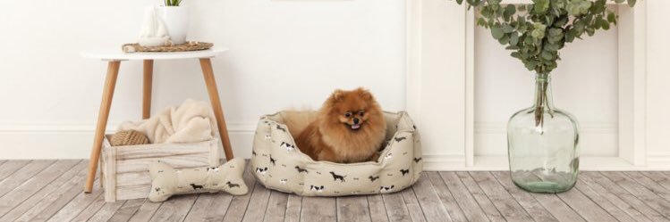 Mascoboutique's profile banner image