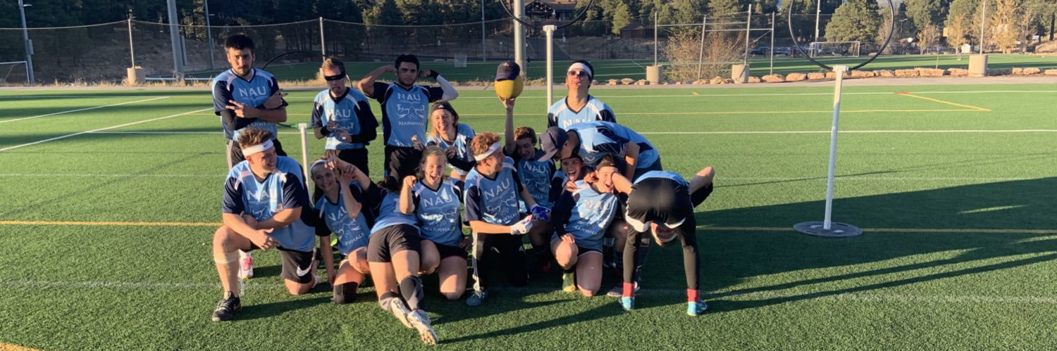 NAUQuidditch's profile banner image