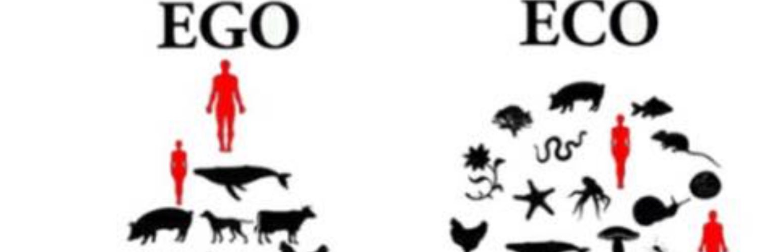 chnozgurce's profile banner image
