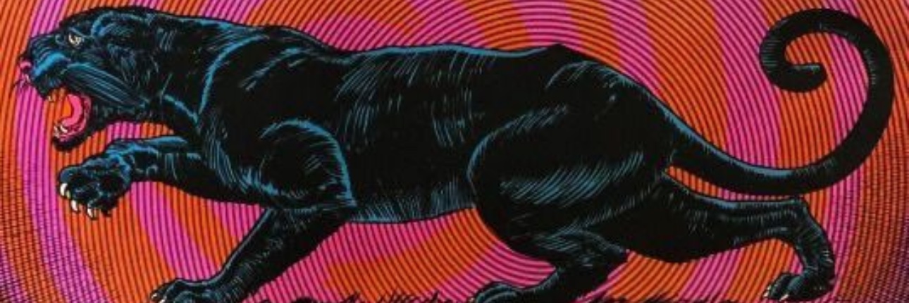 AlanaJ___'s profile banner image