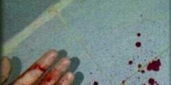 zcvcsdfffdc3's profile banner image