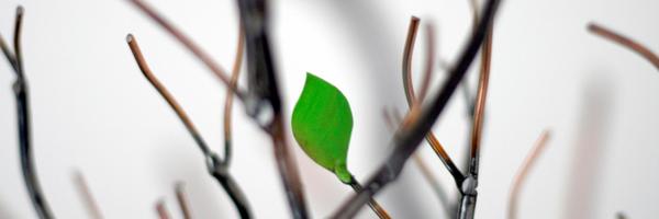 GeddesTweets Profile Banner