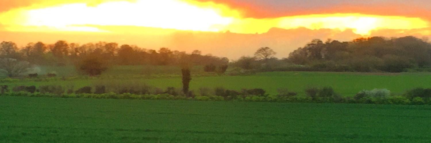 MLClarke76's profile banner image