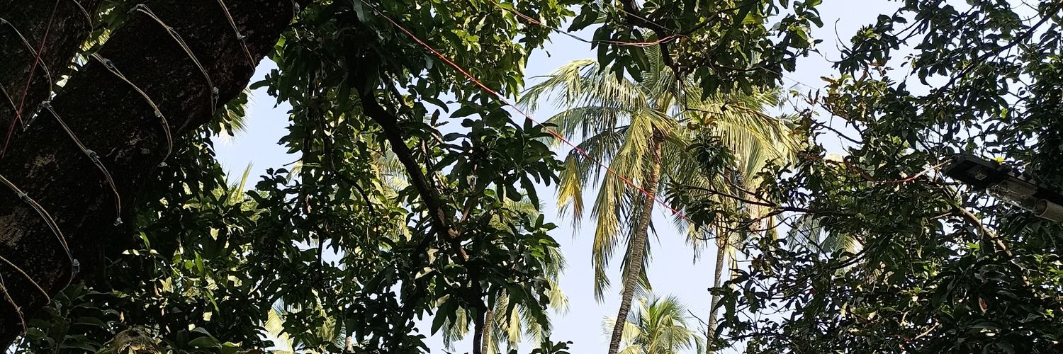 ankitvfk's profile banner image