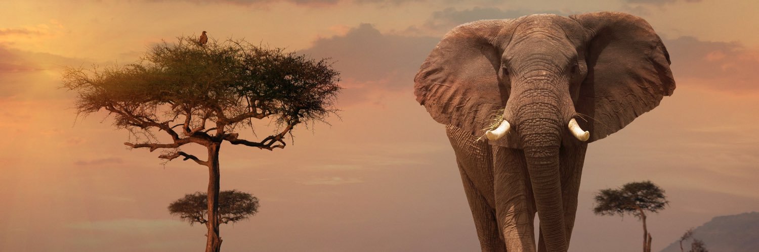 CHill_cuz's profile banner image