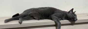 ooyk5566's profile banner image