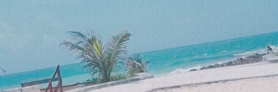 alis1299's profile banner image