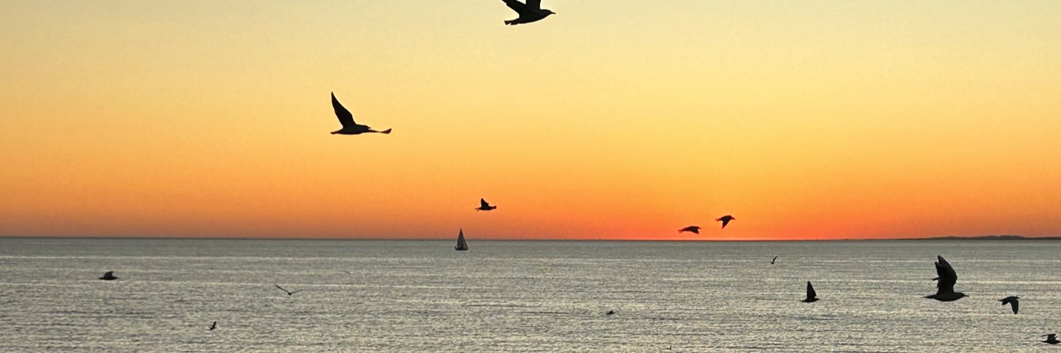 sooooofi27's profile banner image