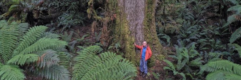 BobBrownFndn's profile banner image