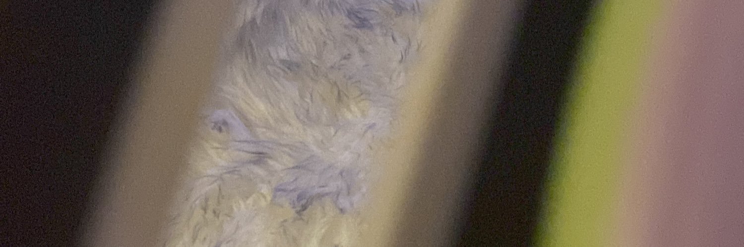 drpaulht's profile banner image