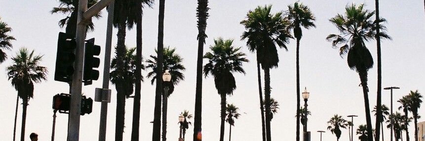 veronicaadelli's profile banner image