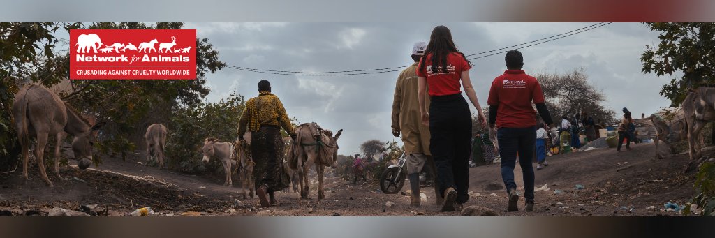Network For Animals 🐾 banner