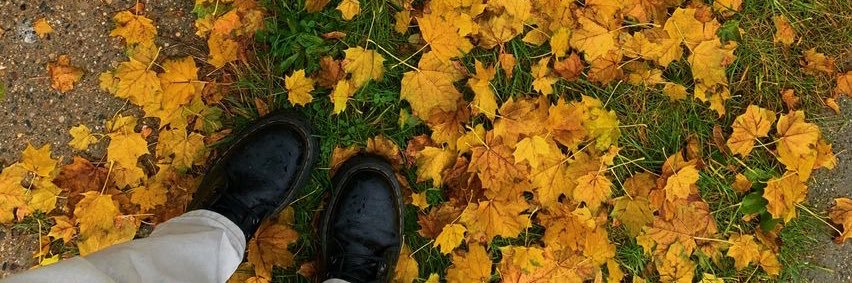 maddy_michellle's profile banner image