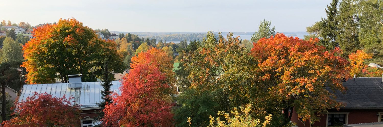 Satu Hassi 💙💛 banner