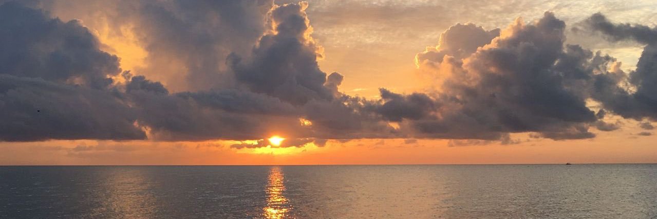 Jen Singleton banner