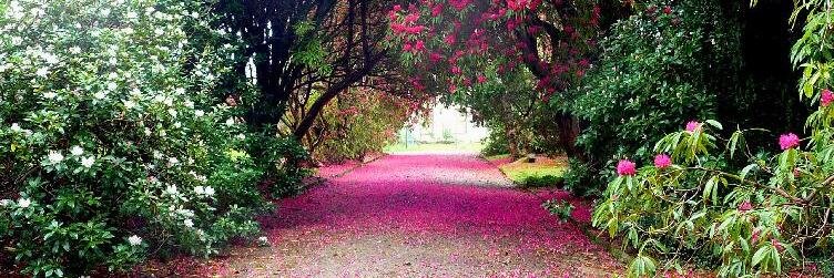 Irene Winters banner