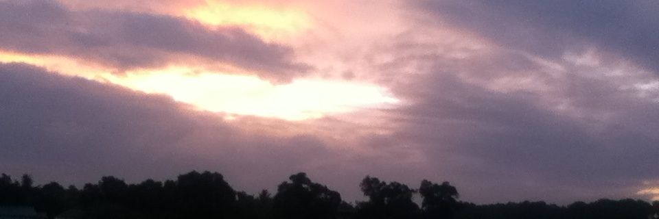 MaeLoyalty's profile banner image