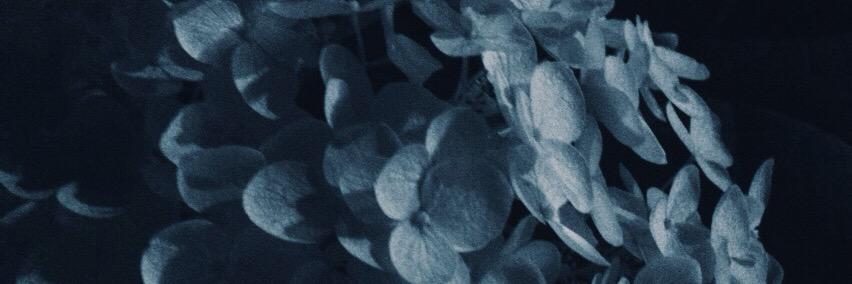fons0728's profile banner image