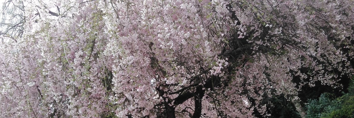 maryjo1107's profile banner image