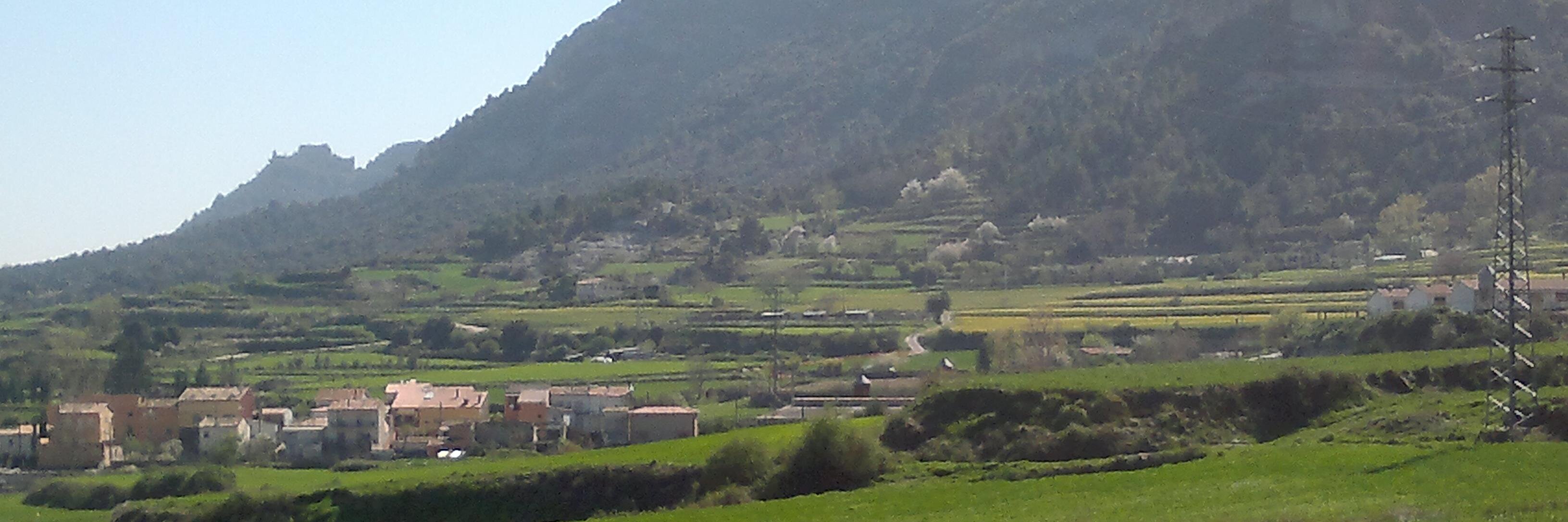 canguixa's profile banner image