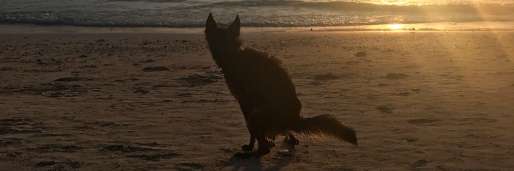 mr_neall's profile banner image