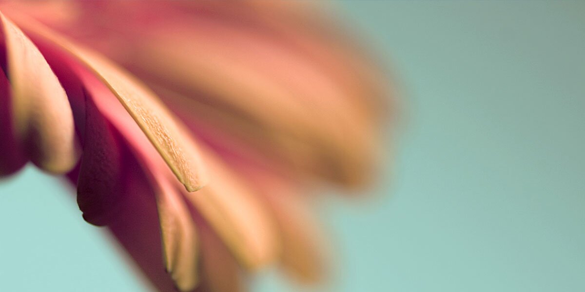 Kiki_Shepard's profile banner image