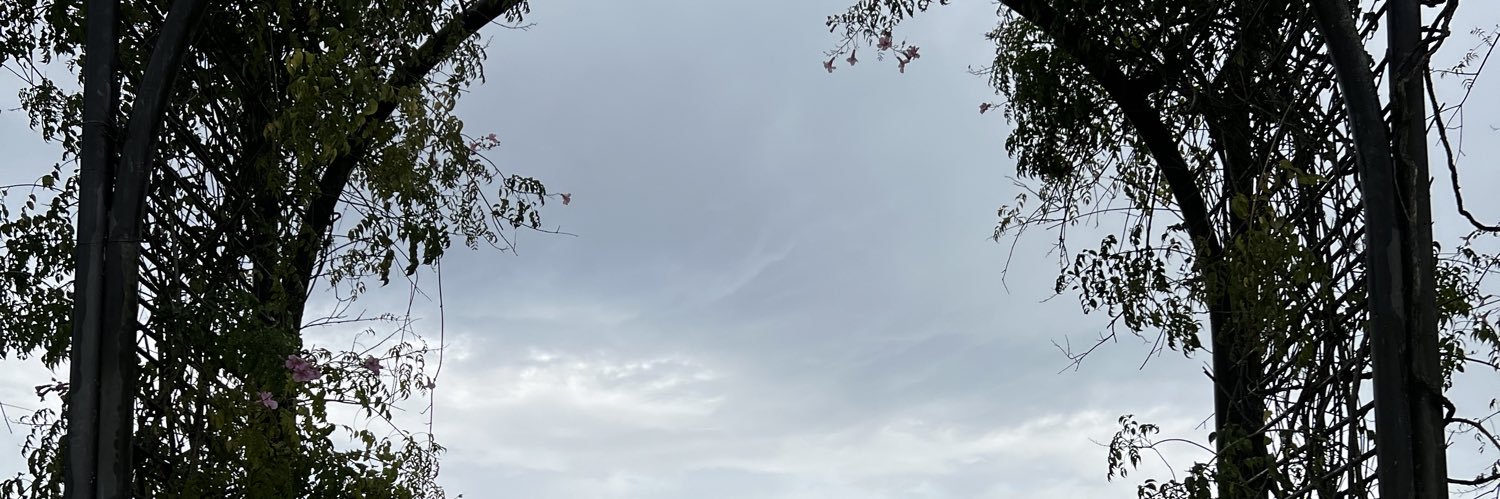 AnaViaes's profile banner image