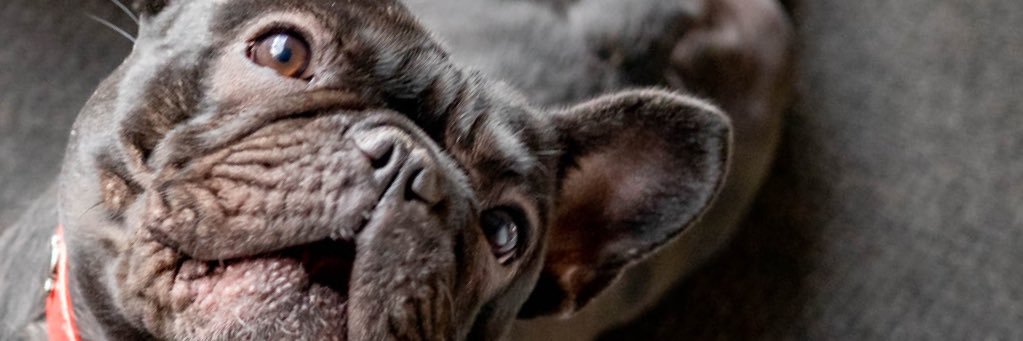gbg68's profile banner image