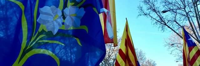 Ramon OiJ ✊💙 banner