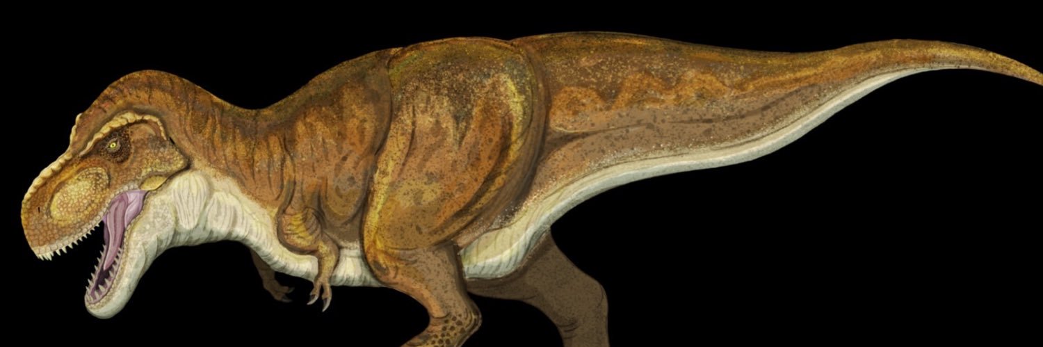 ケータ🦖恐竜イラストレーター banner